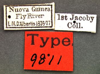 Media type: image; Entomology 9811   Aspect: labels